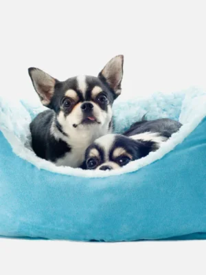 Cama para perro mediano acolchada lavable